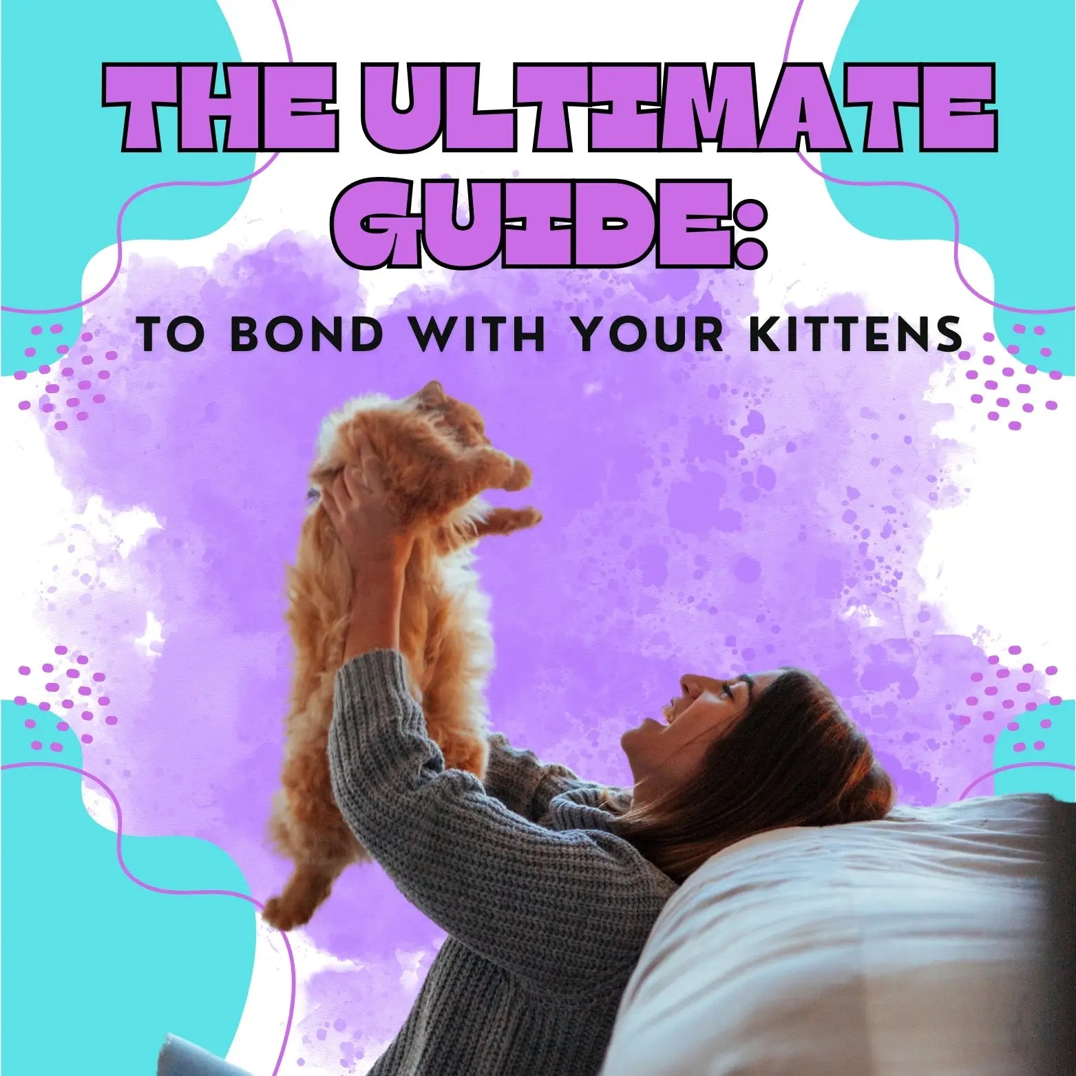 Bond With Your Kitten Trust Training Tips bond-with-your-kitten-trust-training-tips