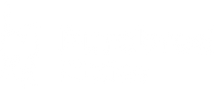 Purebred Kitties