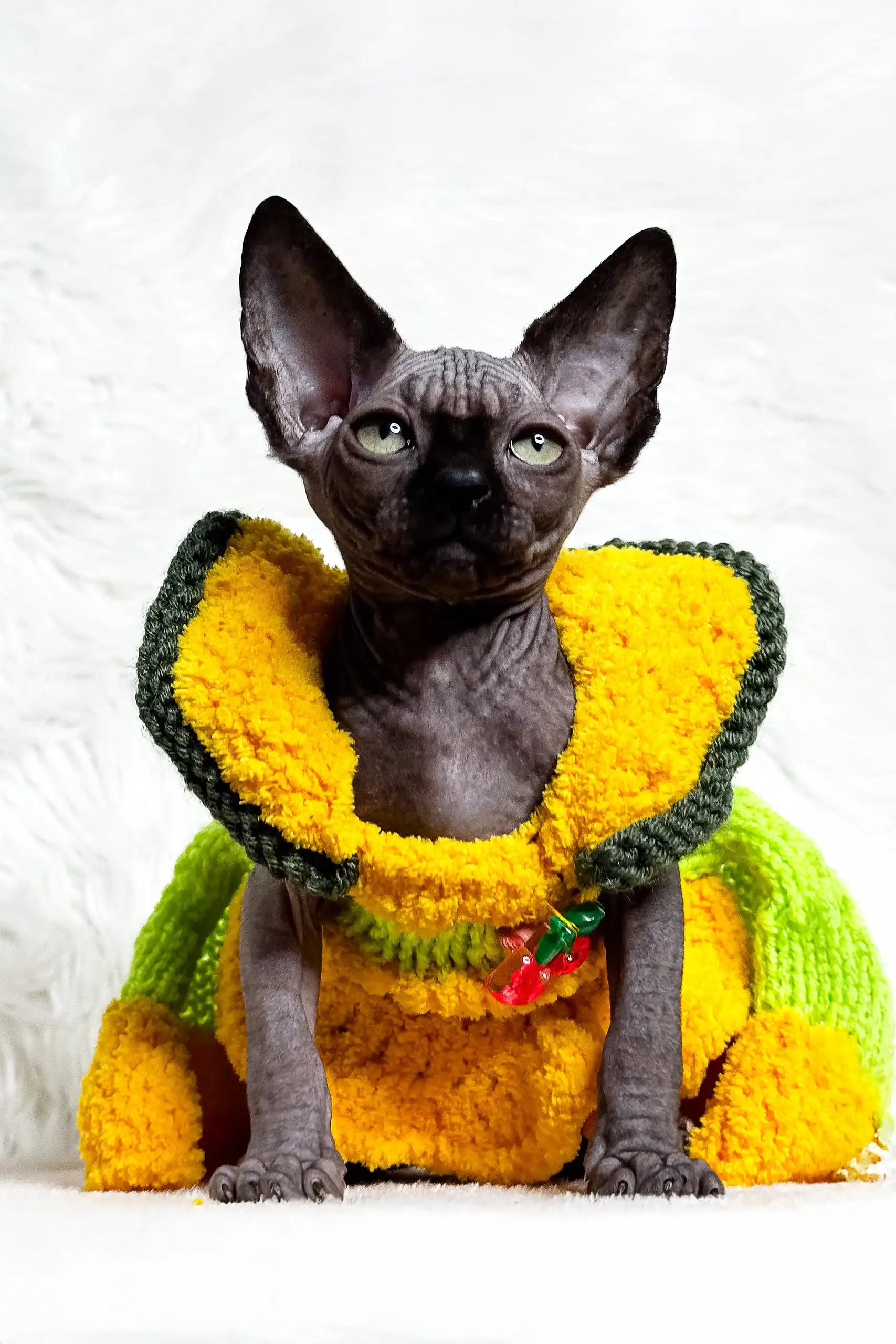 Cat Clothes Green Sphynx Kittens Sphynx Hairless Cat Cotton