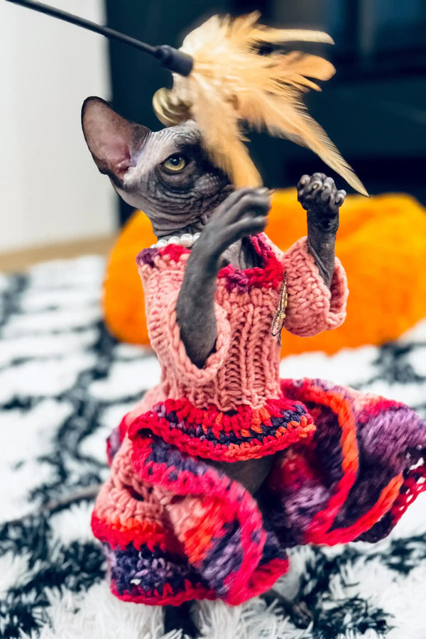 Playful Hairless Cat in a Bright Crocheted Dress, Luna the Canadian Sphynx Kitten