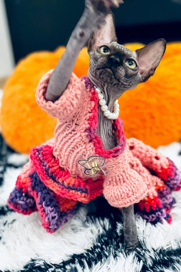 Hairless Canadian Sphynx kitten Luna in a pink dress and pearl necklace