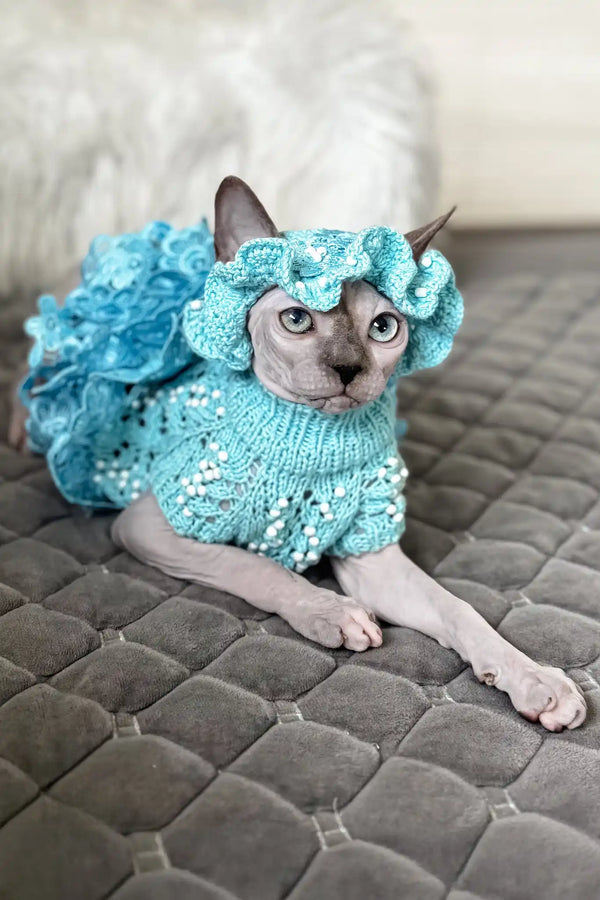 Nicole | canadian sphynx kitten