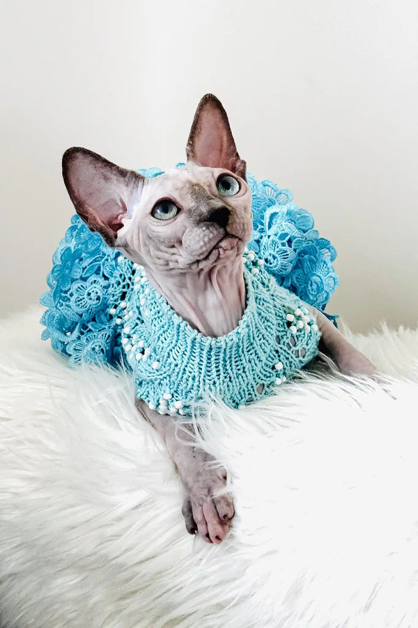 Nicole | canadian sphynx kitten