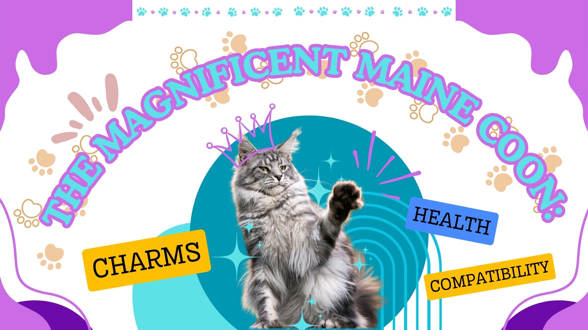 The Magnificent Maine Coon Kitten: Charms, Health, and Compatibility