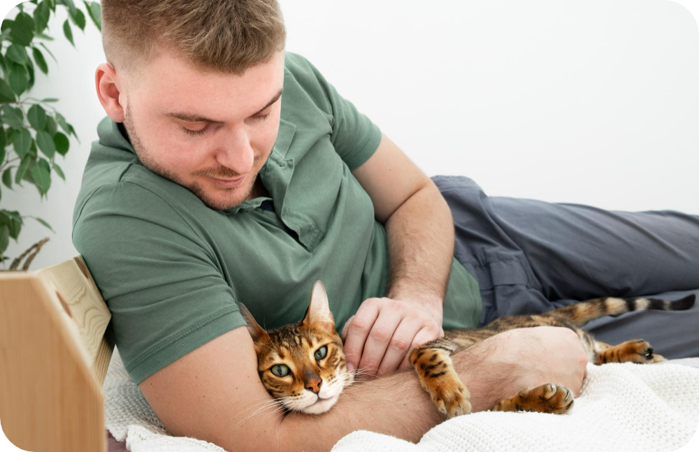 Adopt Your Dream Cat: Explore Top Exotic Breeds & Quick Adoption Tips