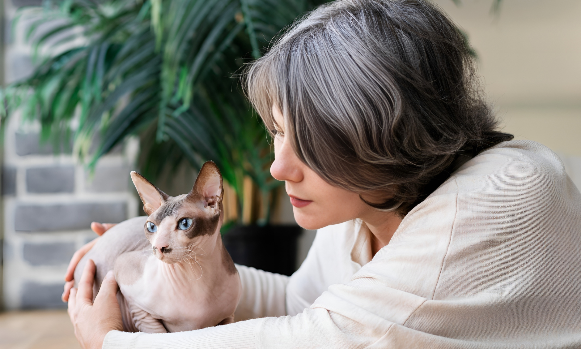 Debunking Myths About Sphynx Kittens: 5 Common Misconceptions Cleared Up!