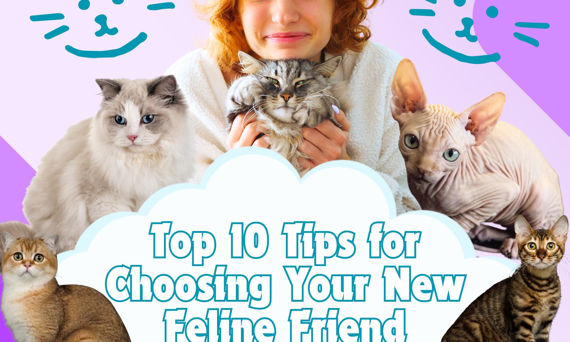 Finding the Perfect Kitten Top 10 Tips for Choosing Your New Feline Friend