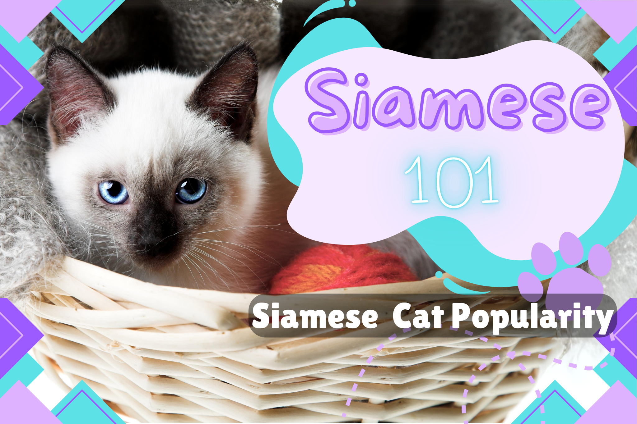 Discover the Royal History of Siamese Cats: From Ancient Thailand to Global Popularity