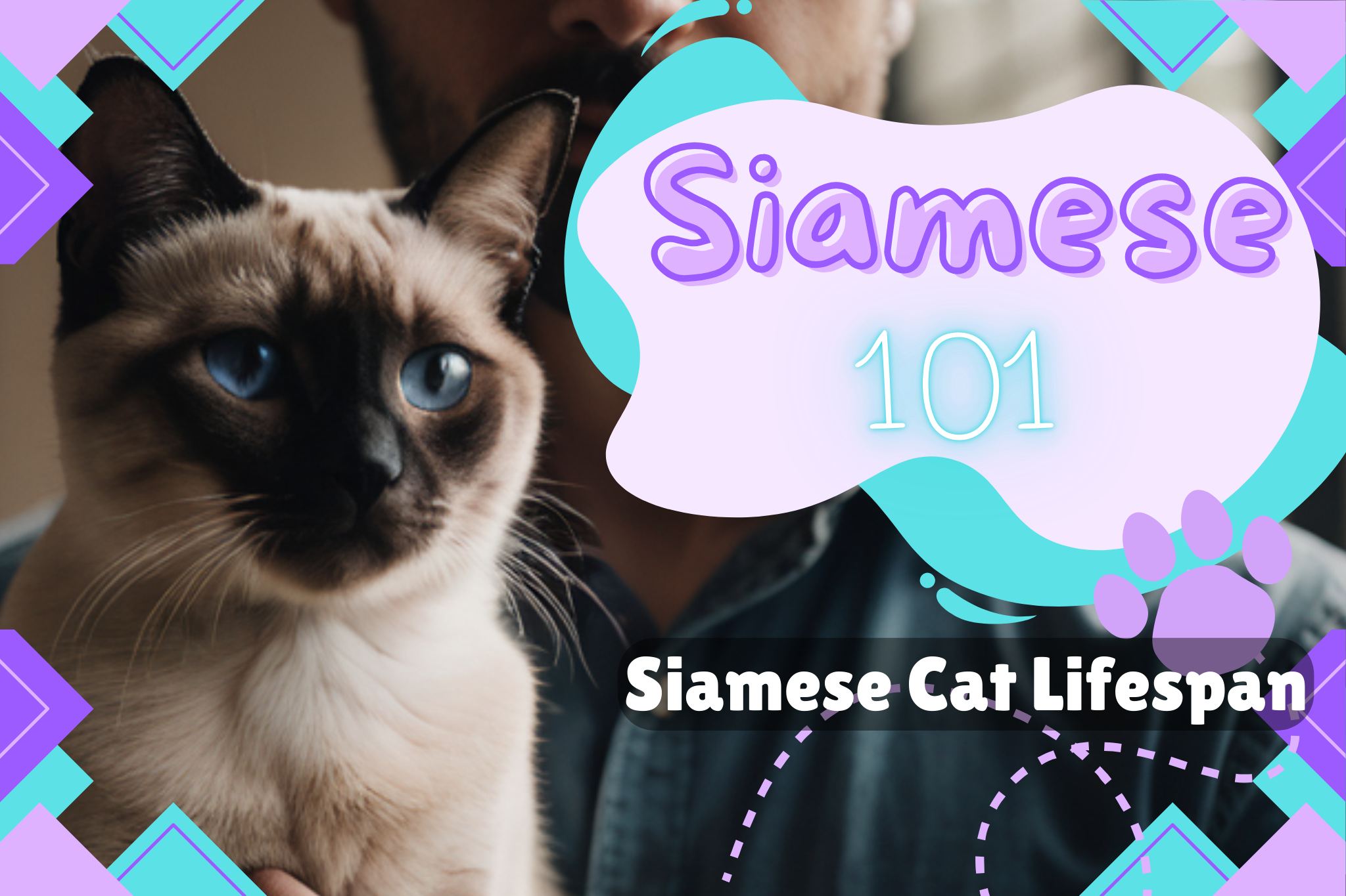 Understanding Siamese Cat Lifespan: How Long Do They Live?