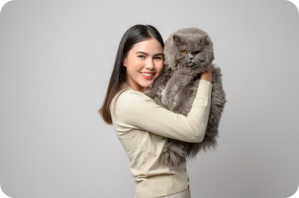 Discover the Majestic World of Large Cat Breeds: Top 10 Giant Cat Breeds You Can Adopt Today Blog