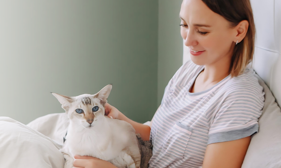 Top Benefits of Oriental Shorthairs as Family Pets: Why They're the Best Choice