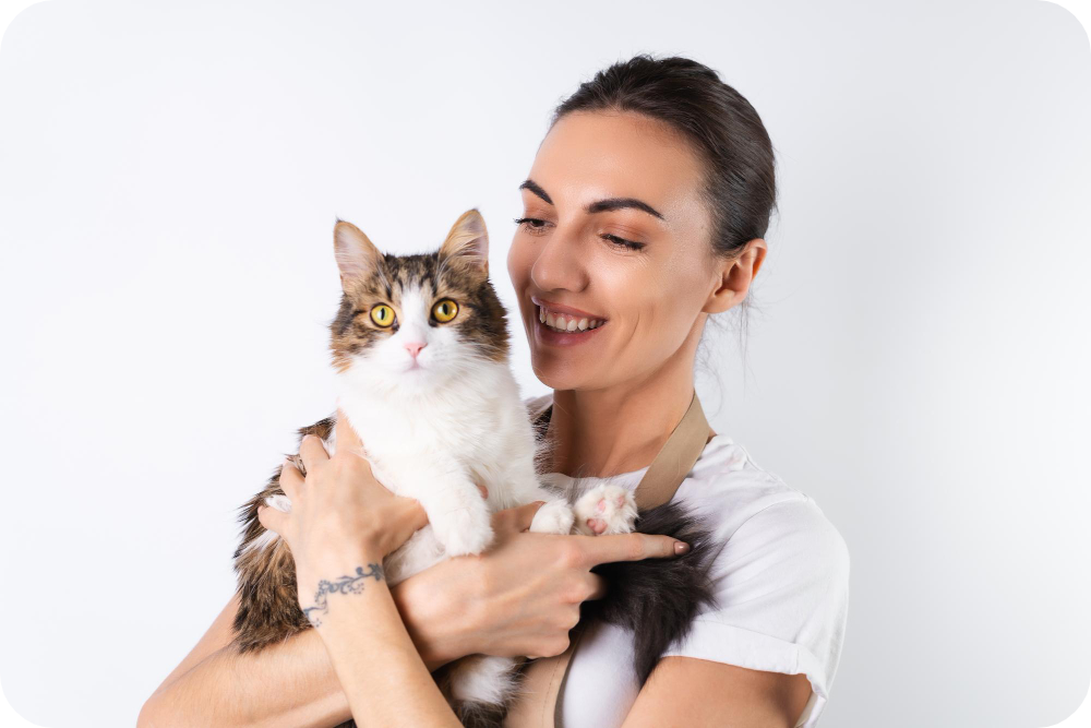 Top Tips for Adopting a Purebred Kitten: Your Complete Guide to Finding the Perfect Feline Companion