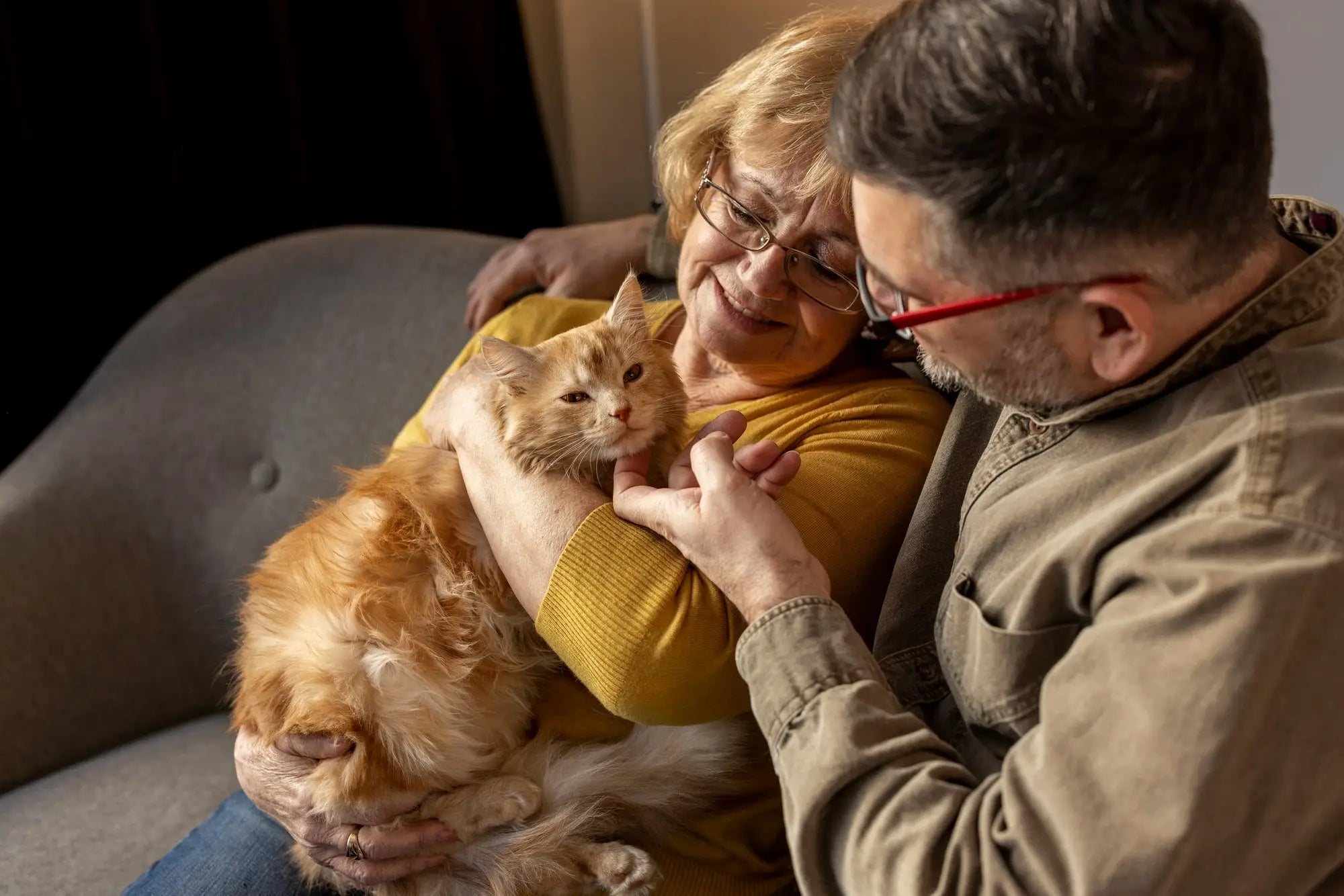Essential Foods to Avoid for your Purebred Kitten