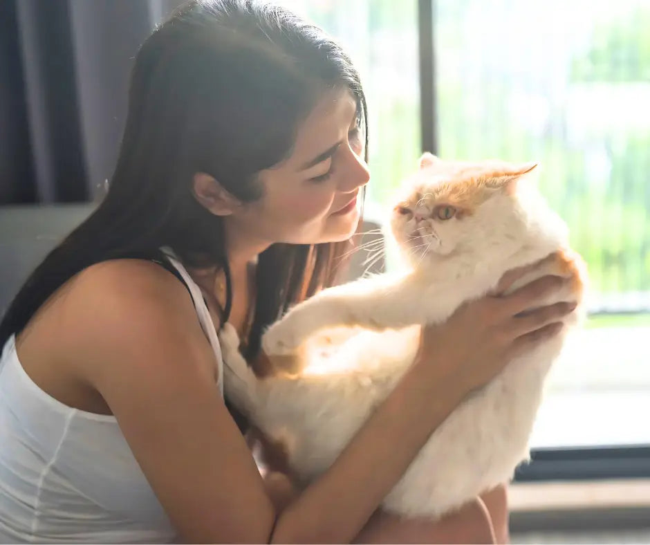 Woman bonding with a fluffy Exotic Shorthair cat in a cozy home setting.