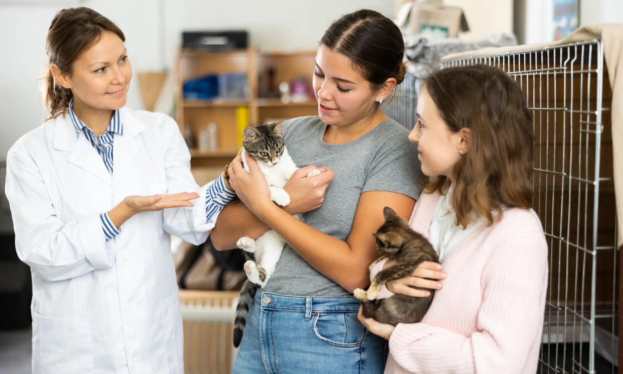 Two women hold adorable cats at a vet, perfect for finding your purebred kitten.