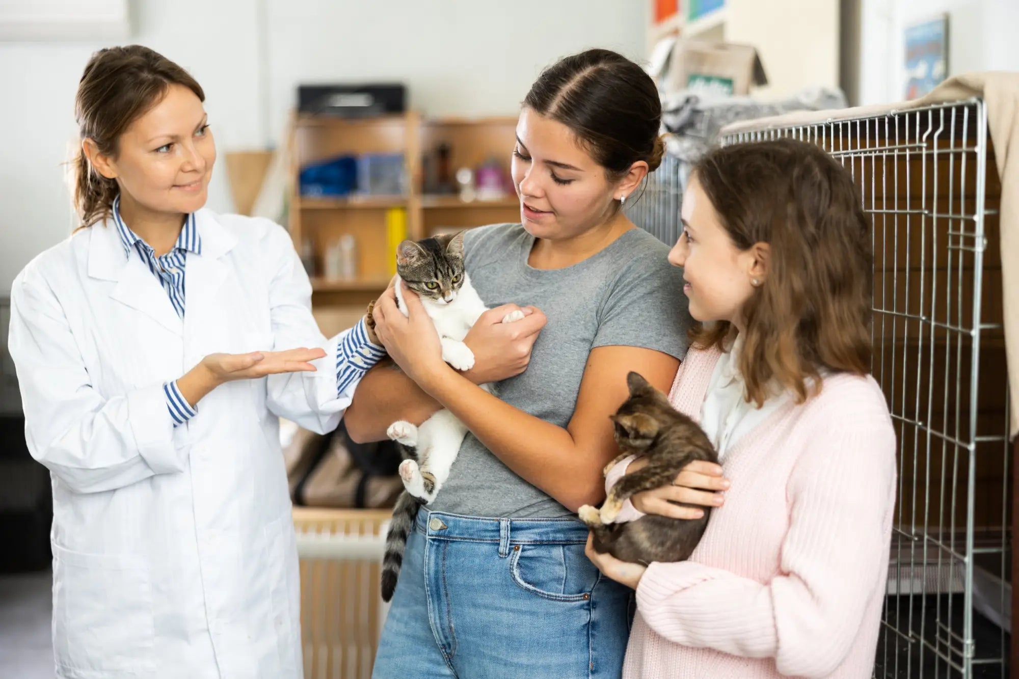 Two women hold adorable cats at a vet, perfect for finding your purebred kitten.