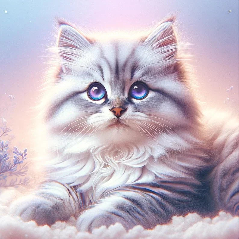 Siberian Kittens in DC - Find Your Dream Kitten – Tagged