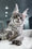Karine | Polydactyl Maine Coon Kitten