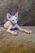 Arher | Elf Straight Sphynx Kitten