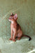 Barry | Abyssinian Kitten