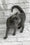Kay | Russian Blue Kitten