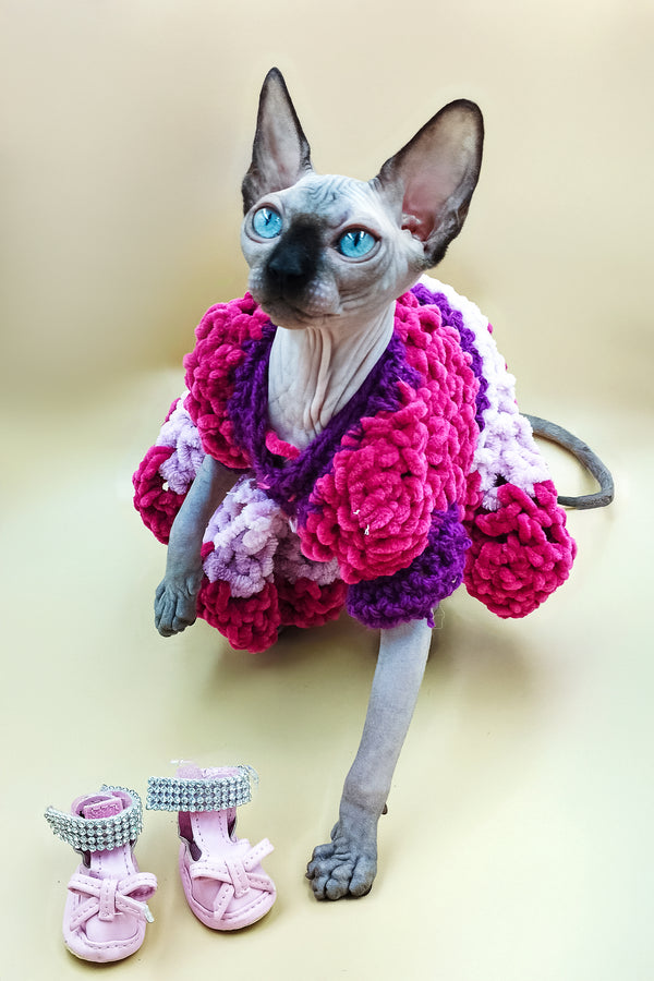 Lilu | Sphynx Kitten