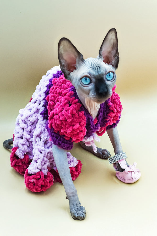 Lilu | Sphynx Kitten