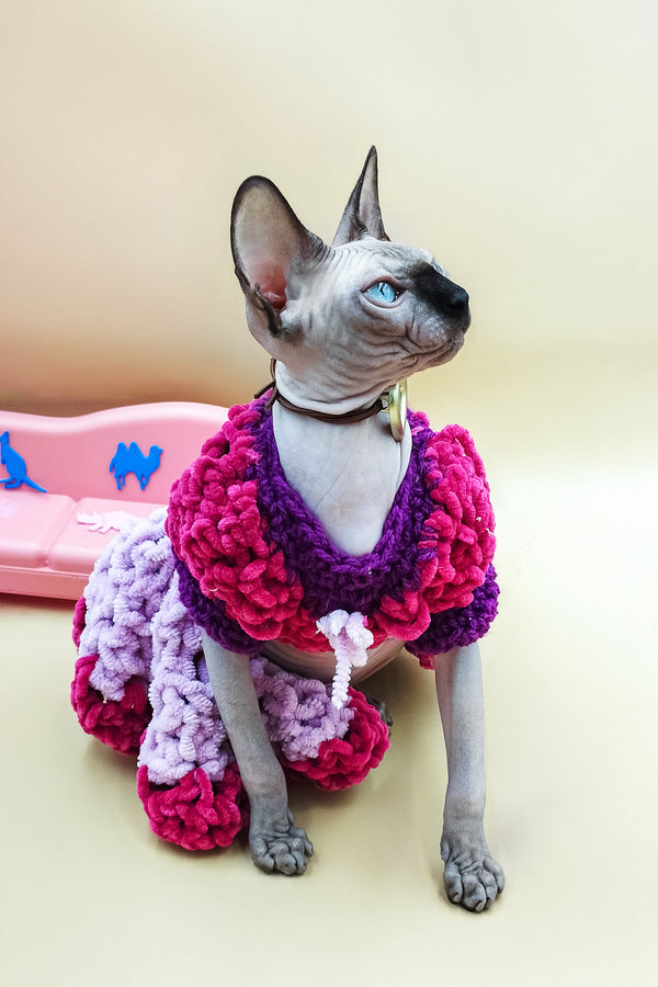 Lilu | Sphynx Kitten