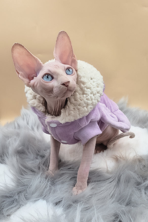 Ophelia | Sphynx Kitten