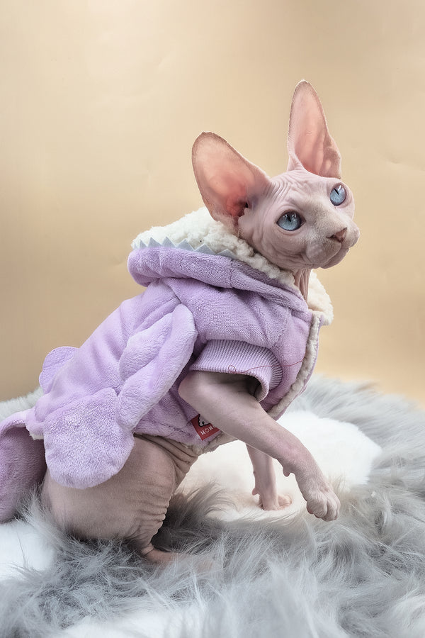Ophelia | Sphynx Kitten