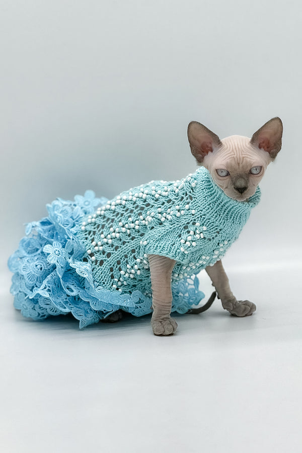 Samira | Canadian Sphynx Kitten