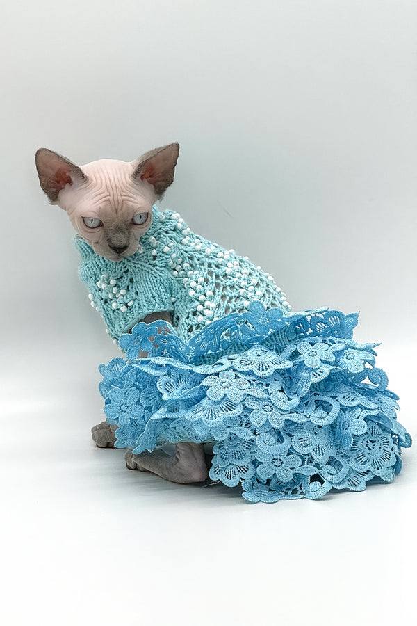 Samira | Canadian Sphynx Kitten