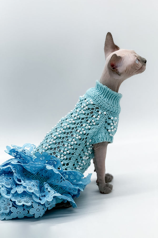 Samira | Canadian Sphynx Kitten