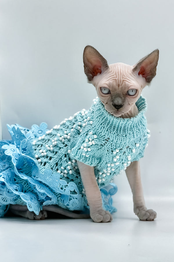 Samira | Canadian Sphynx Kitten