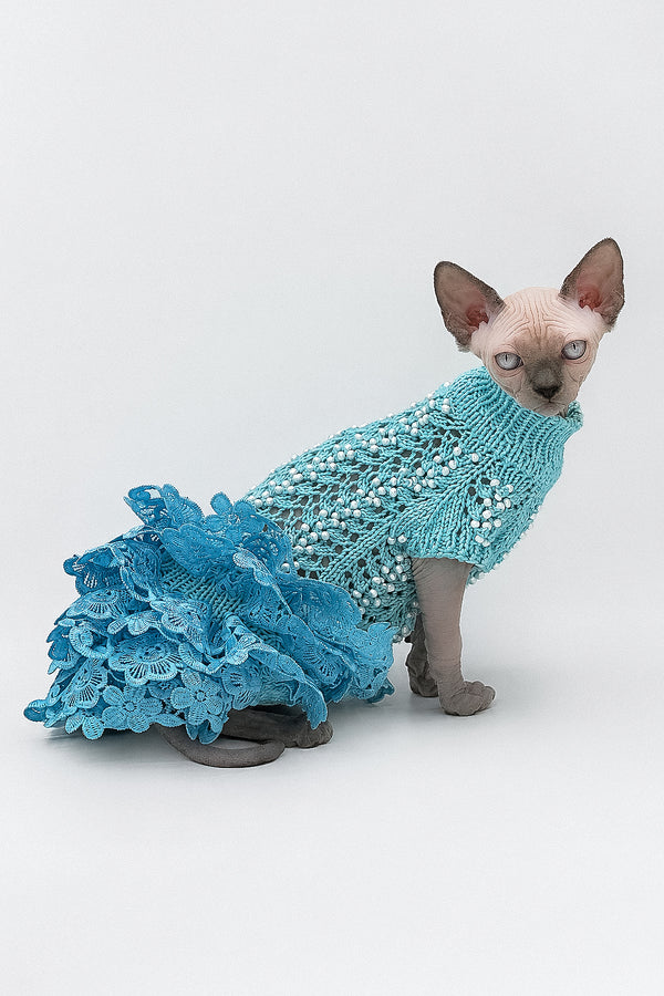 Samira | Canadian Sphynx Kitten