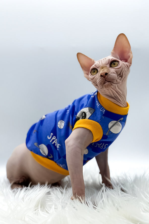 Talisman | Canadian Sphynx Kitten