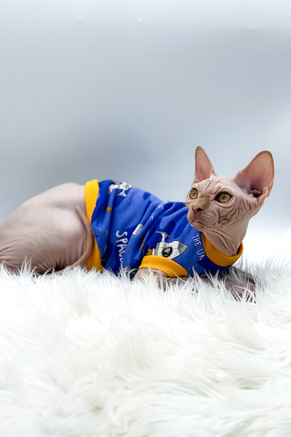 Talisman | Canadian Sphynx Kitten