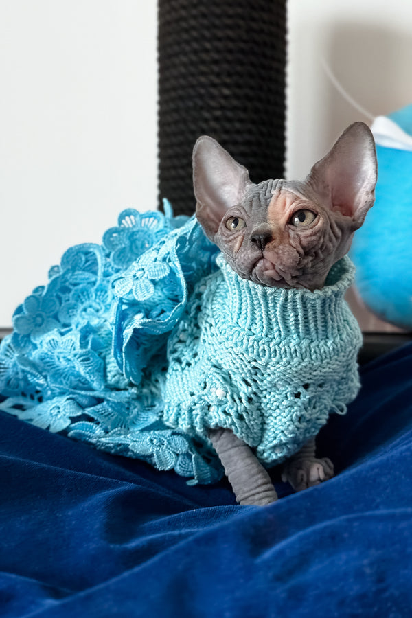 Tiffany | Canadian Sphynx Kitten