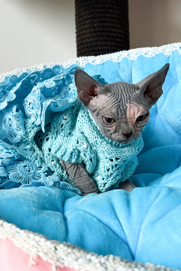 Tiffany | Canadian Sphynx Kitten