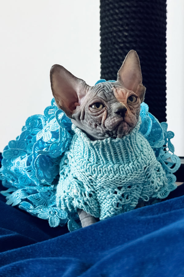 Tiffany | Canadian Sphynx Kitten
