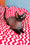 Xavia | Devon Rex Kitten