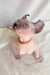 Bluebell | Elf Sphynx Kitten