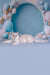 Dafna | British Shorthair Kitten