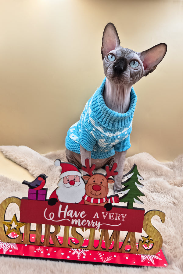 Magellan | Canadian Sphynx Kitten