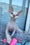 Michelle | Devon Rex Kitten