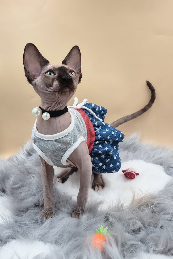Olivia | Sphynx Kitten