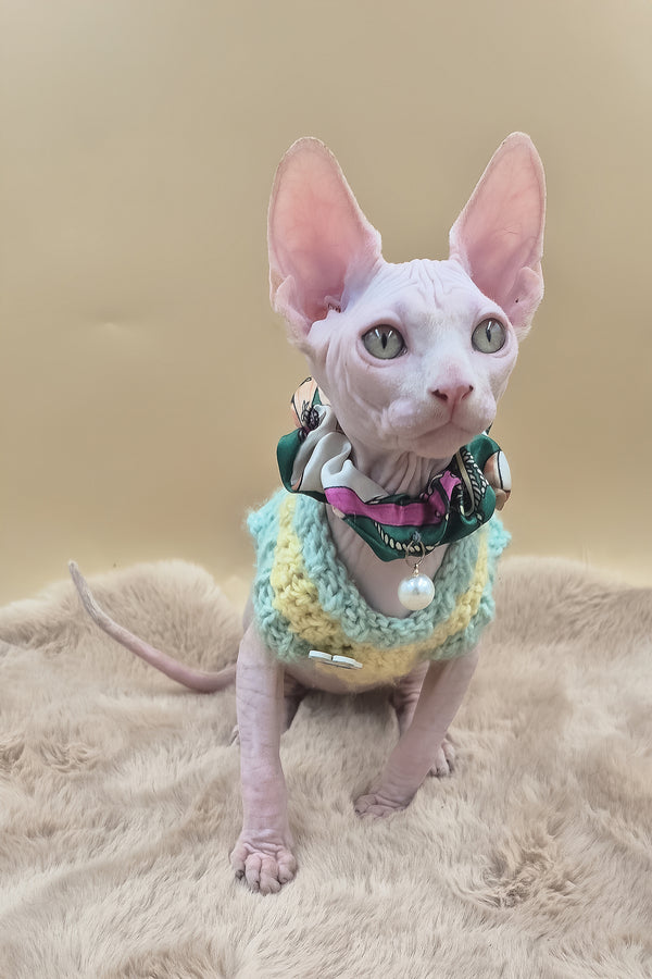Rory | Canadian Sphynx Kitten