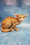 Yatis | Oriental Shorthair Kitten