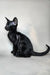 Iikking | Oriental Shorthair Kitten