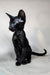 Iikking | Oriental Shorthair Kitten